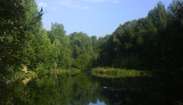 Площадка для воркаута в городе Арзамас №2148 Маленькая Советская фото